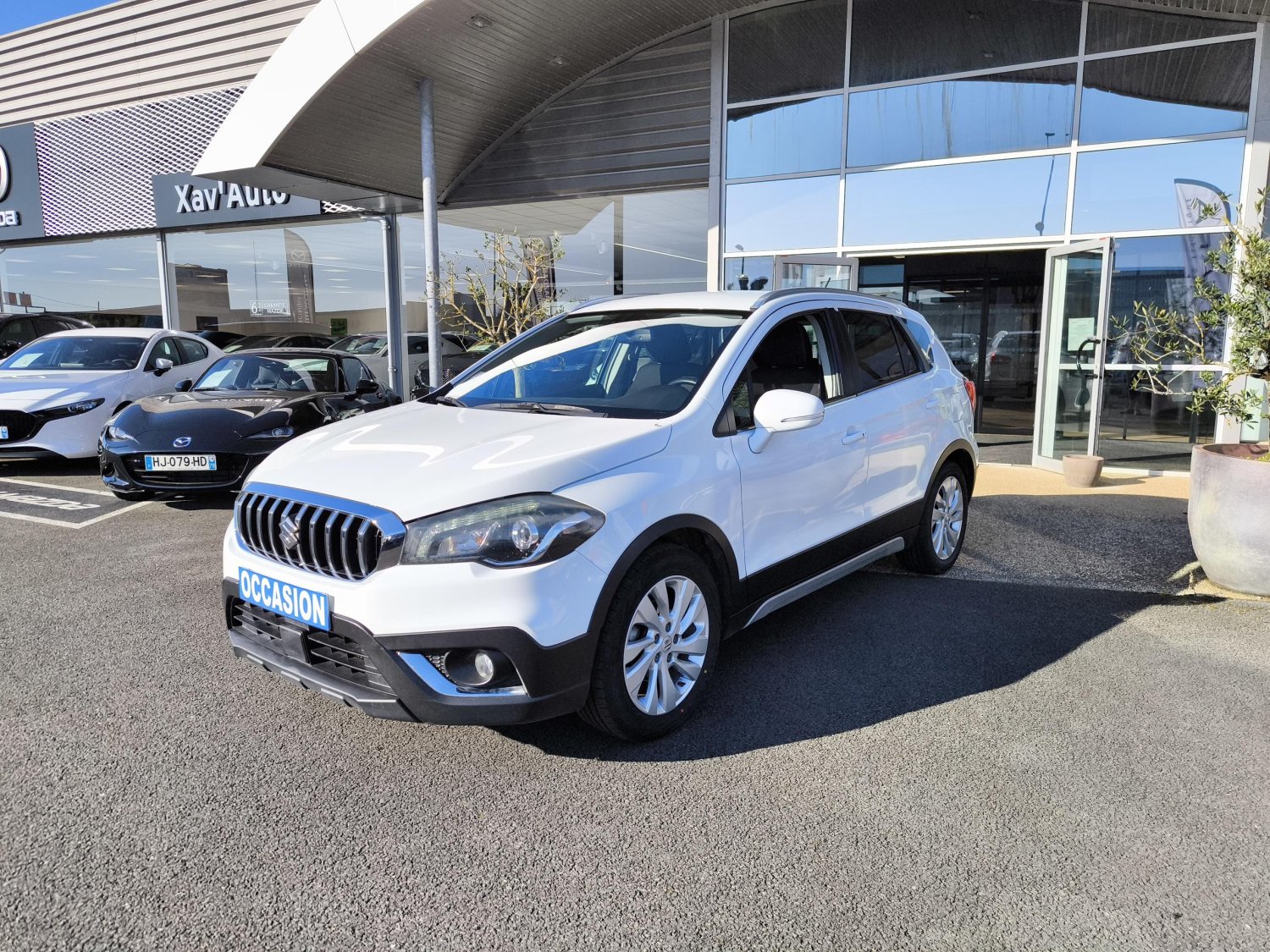 suzuki - Visuel 0