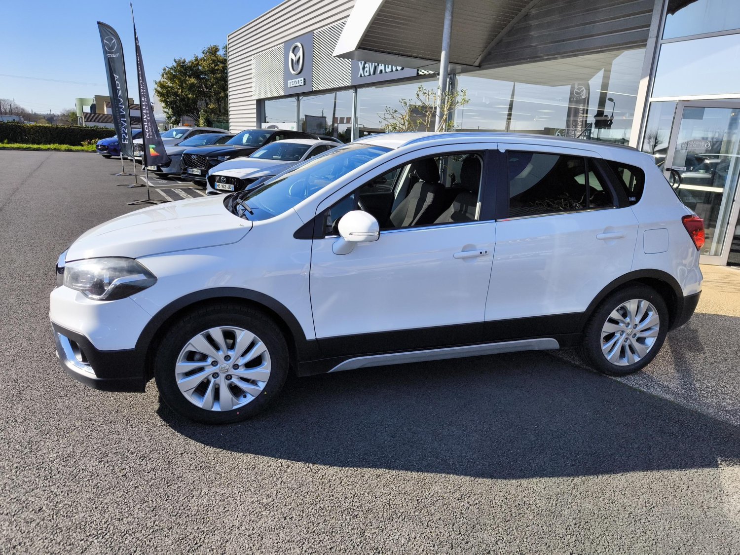 suzuki - Visuel 1