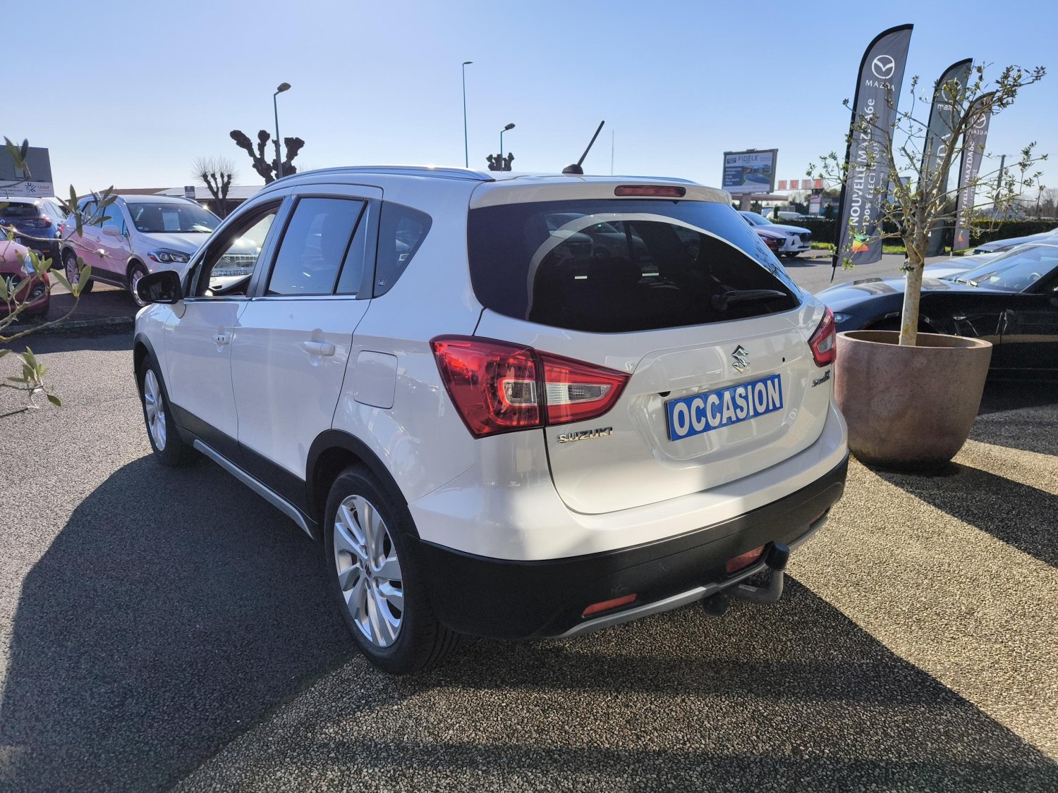 suzuki - Visuel 2