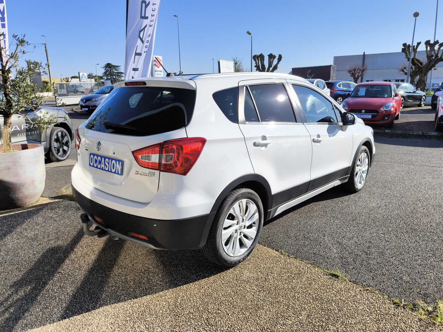suzuki - Visuel 4