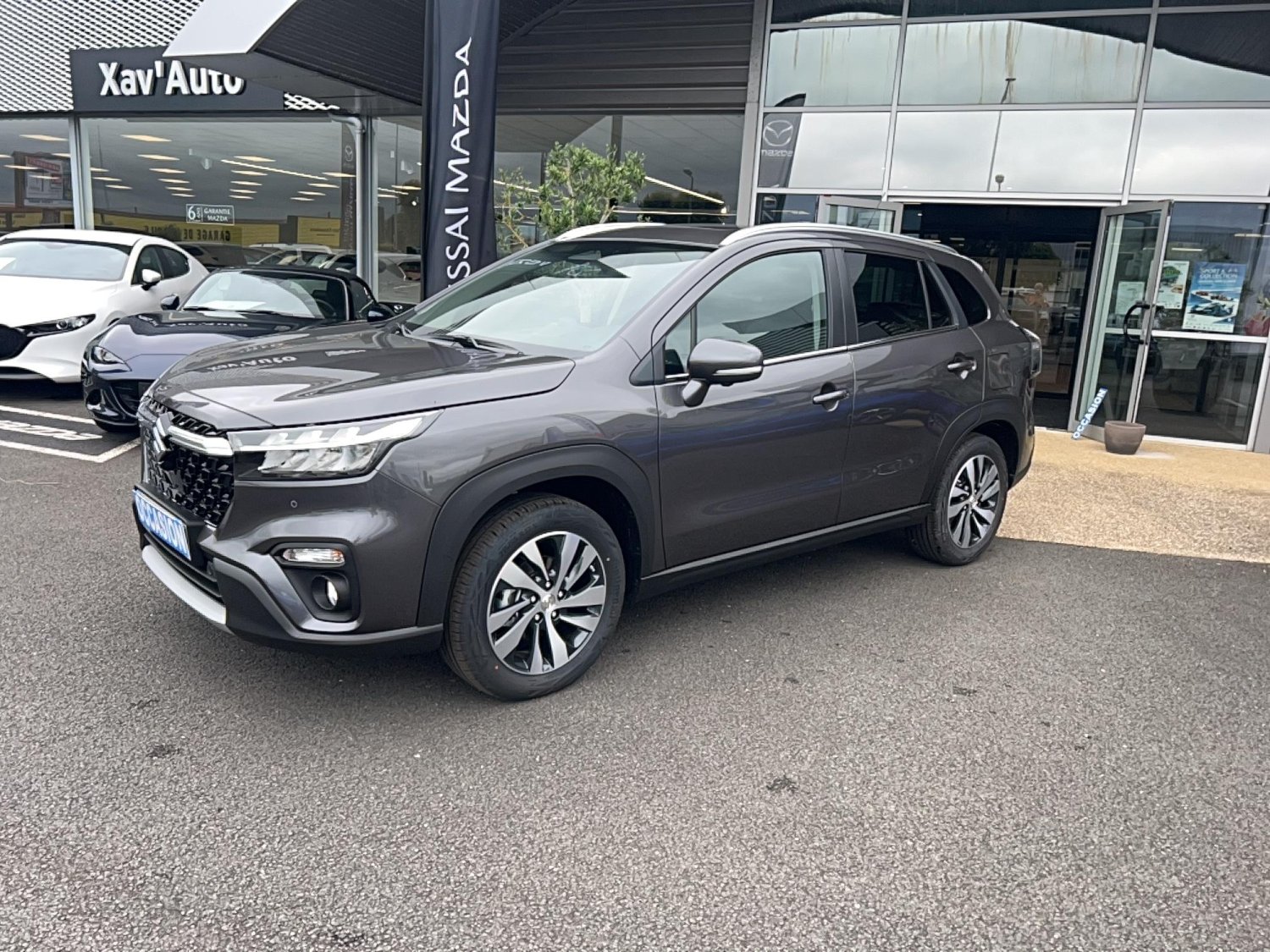 suzuki - Visuel 0