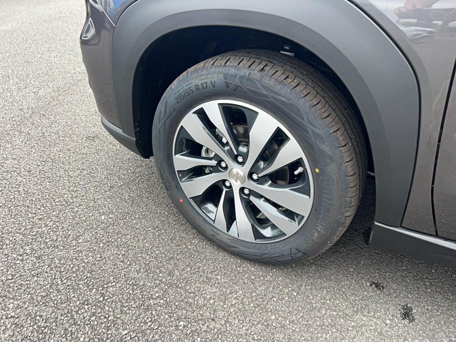 suzuki - Visuel 9