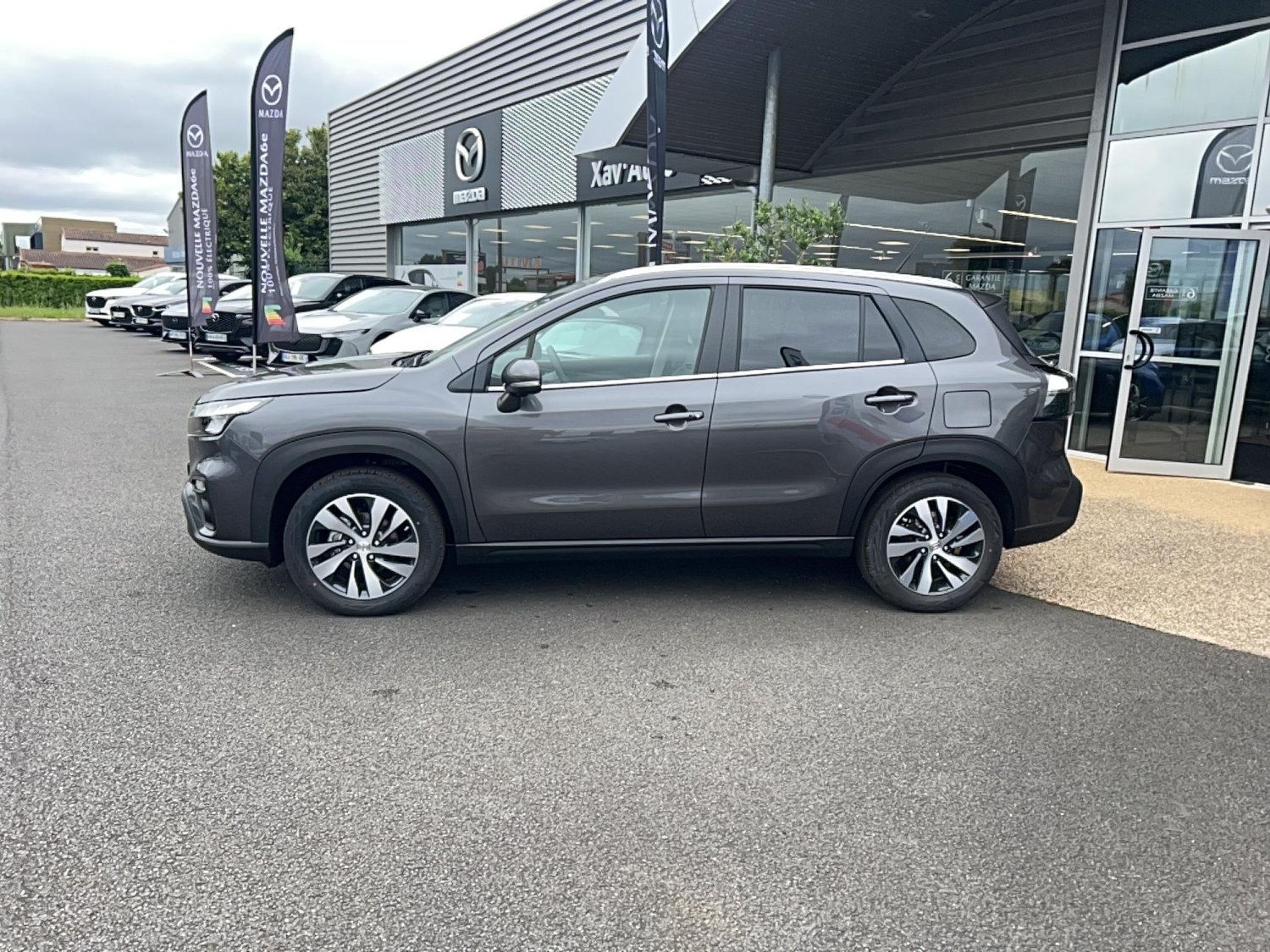 suzuki - Visuel 1