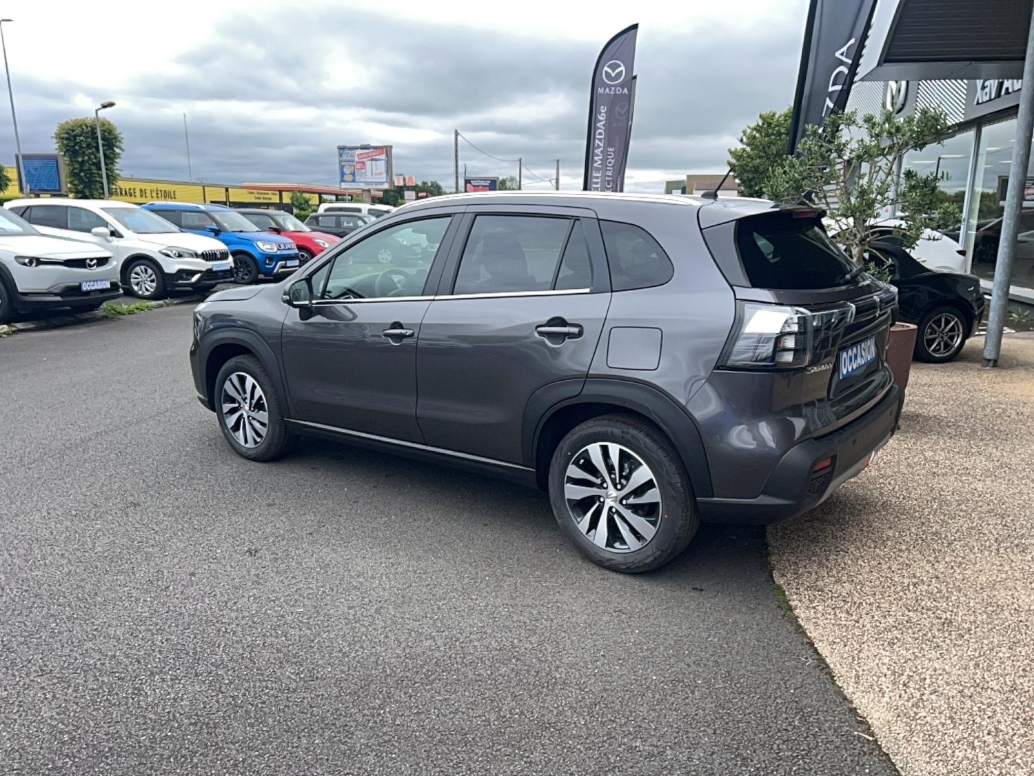 suzuki - Visuel 2