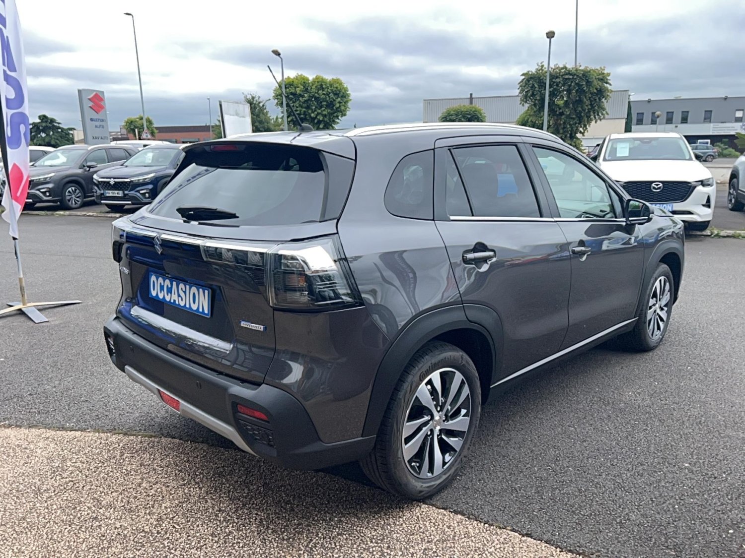 suzuki - Visuel 4
