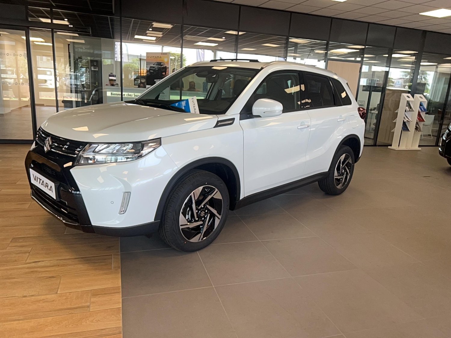suzuki - Visuel 0