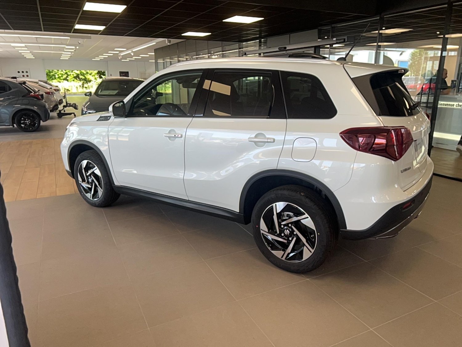 suzuki - Visuel 2