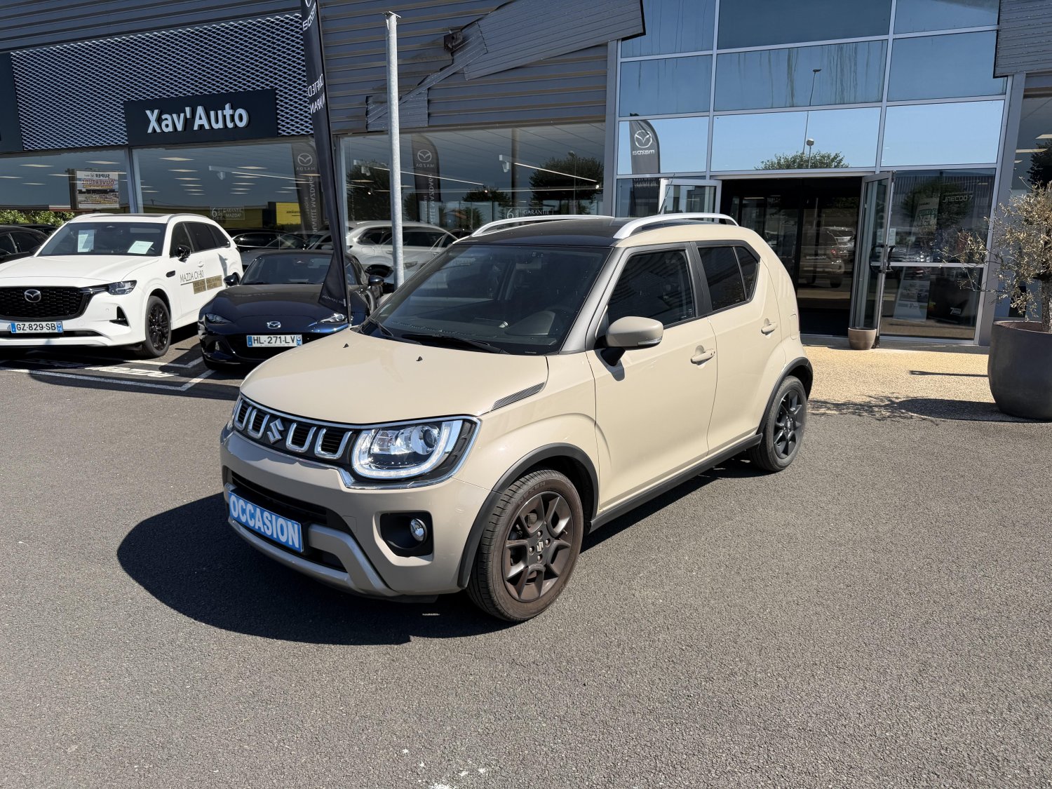suzuki - Visuel 0