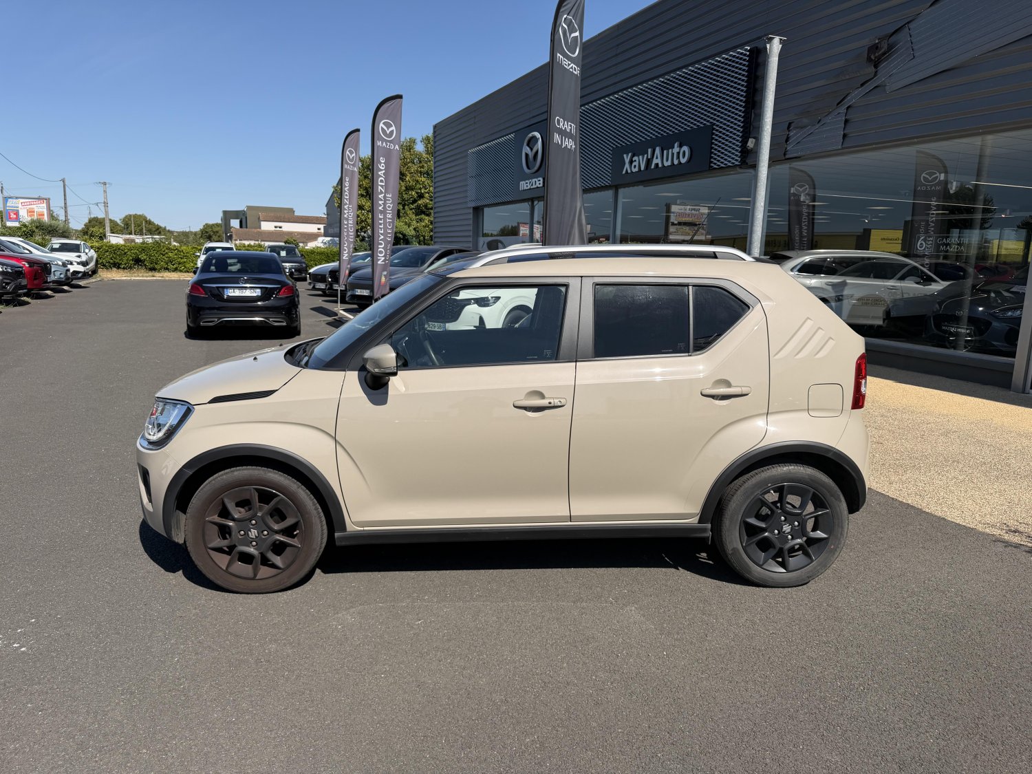 suzuki - Visuel 1