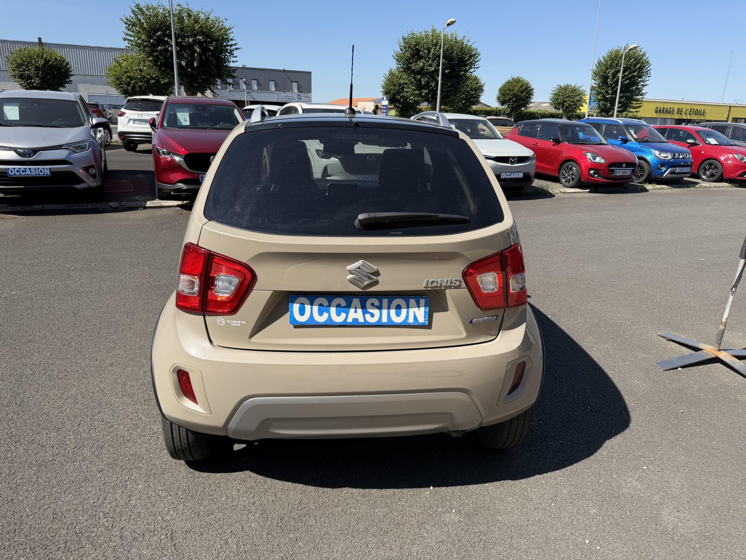 suzuki - Visuel 3
