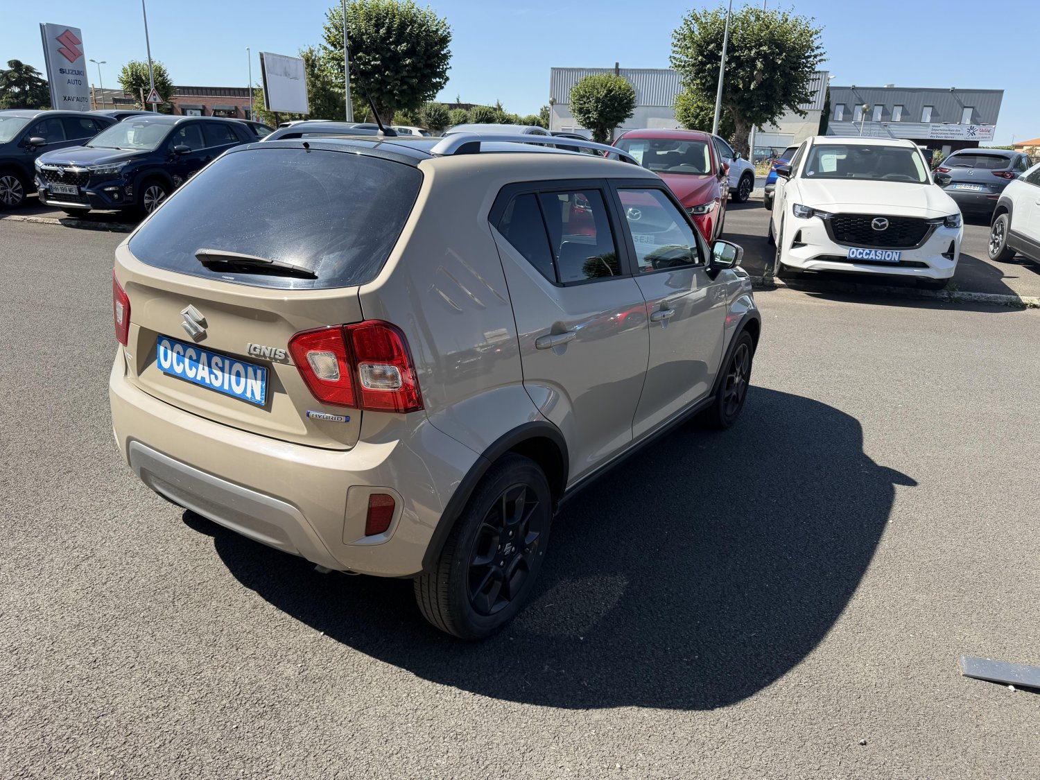 suzuki - Visuel 4