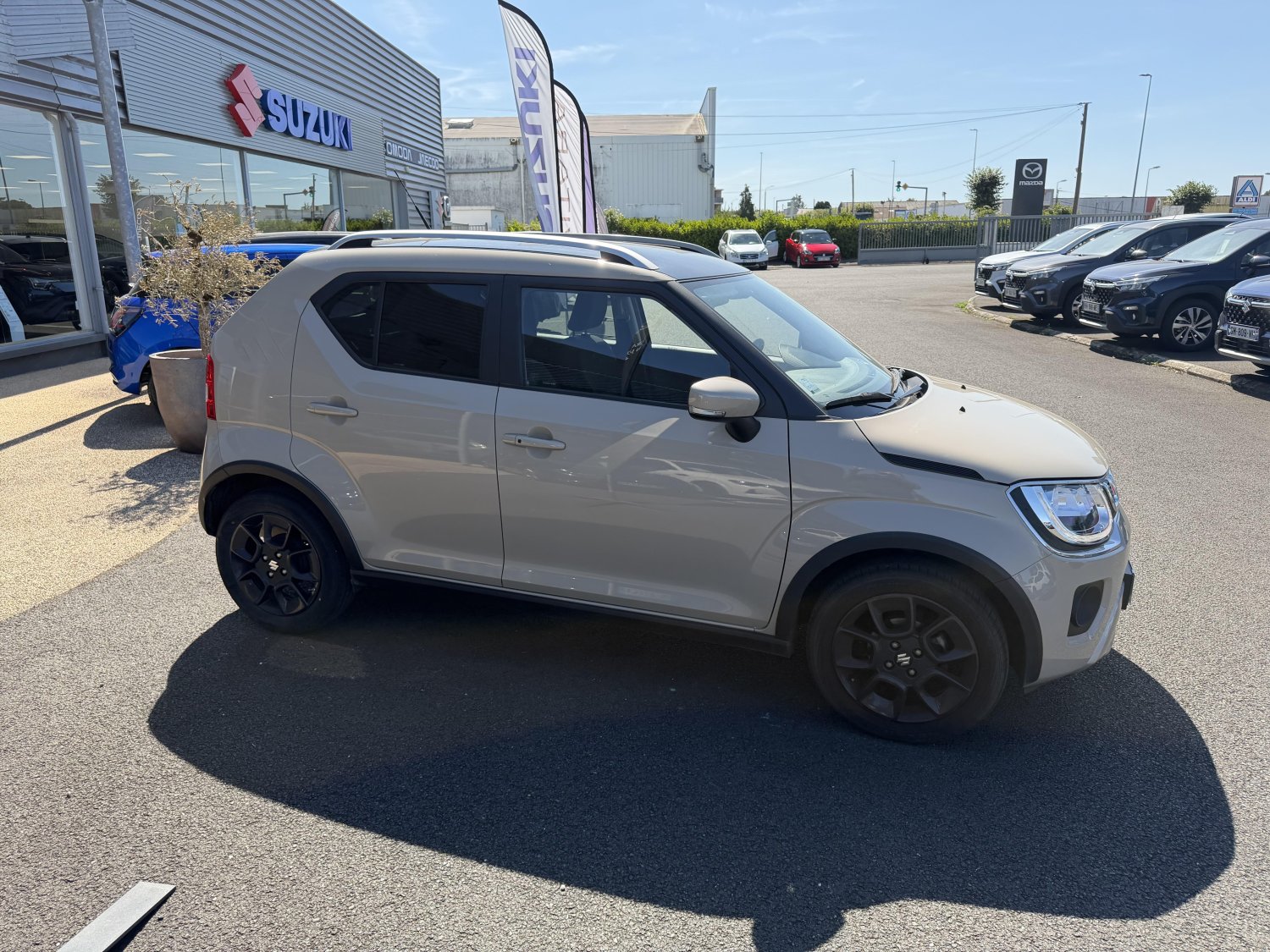 suzuki - Visuel 5