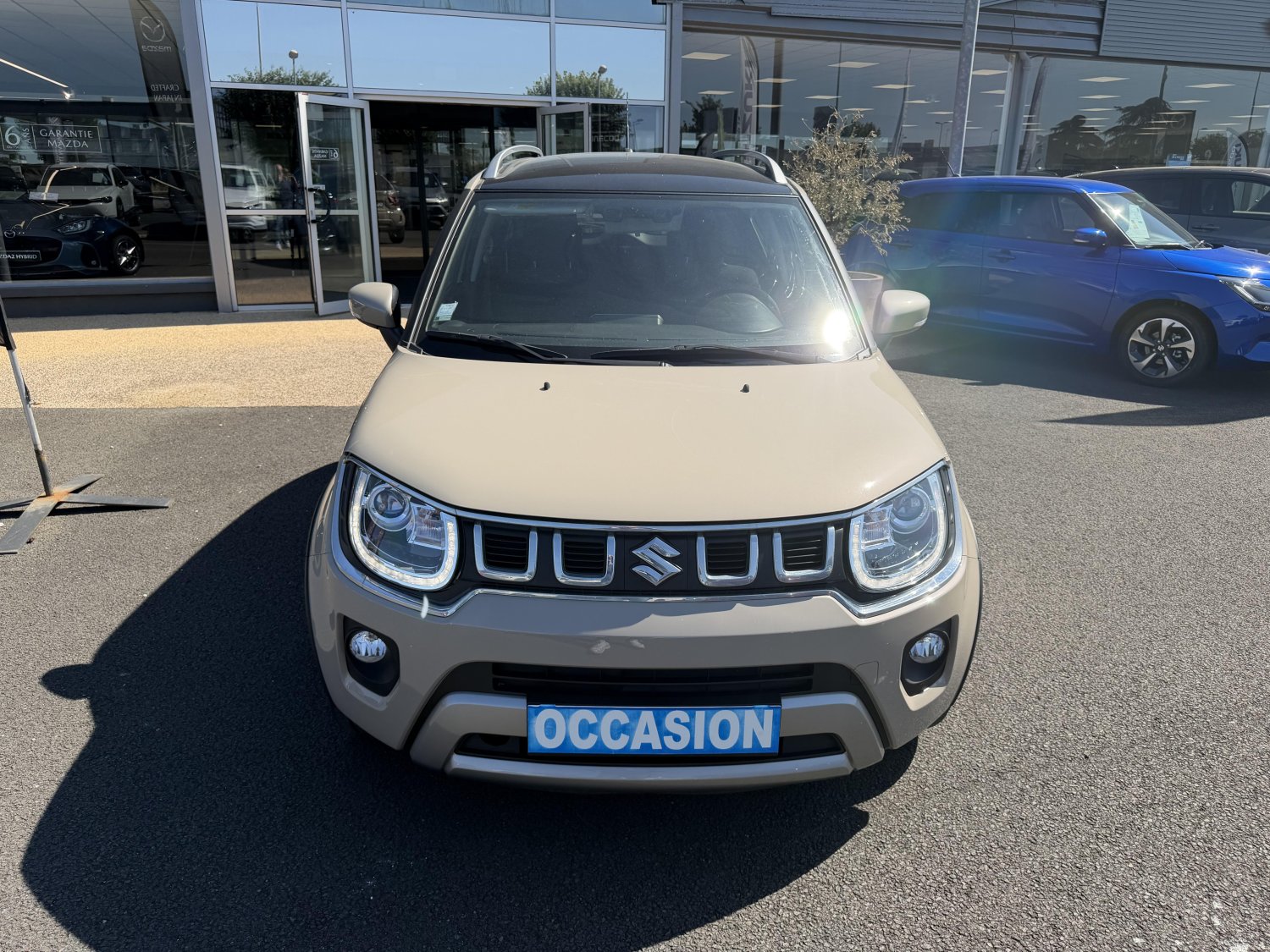 suzuki - Visuel 7