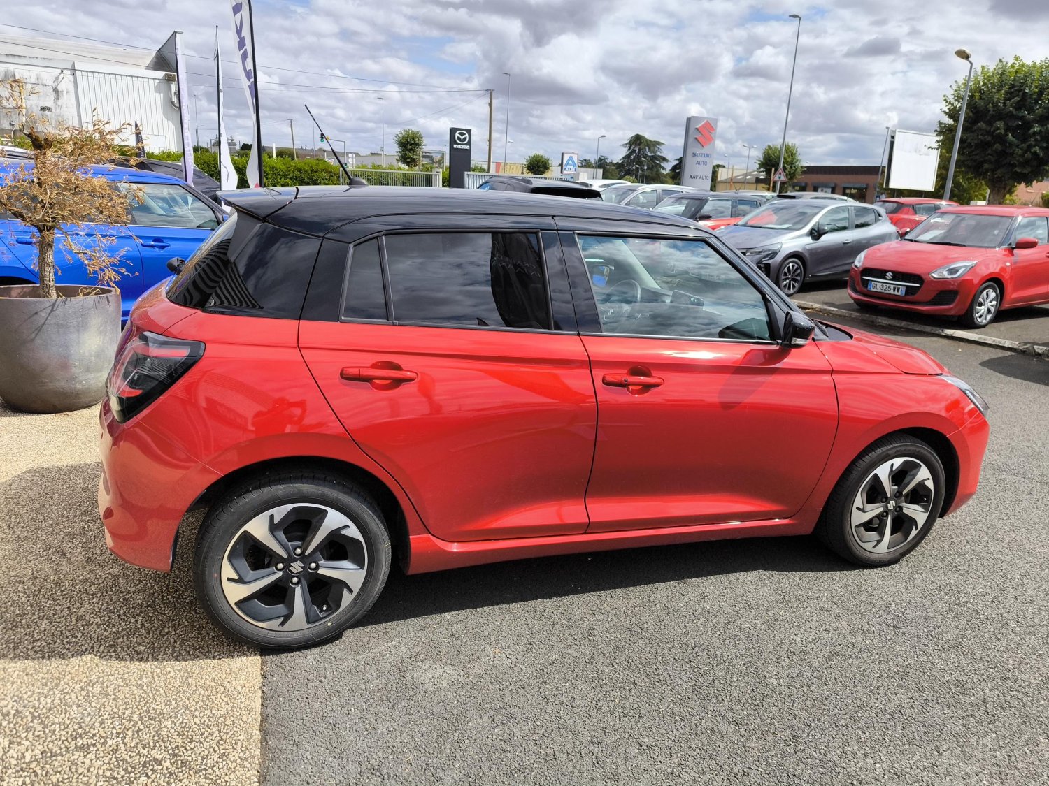 suzuki - Visuel 5