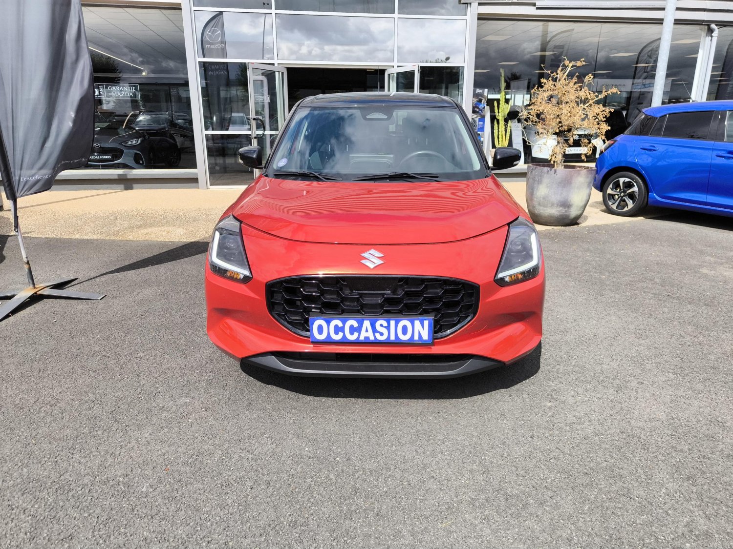 suzuki - Visuel 7