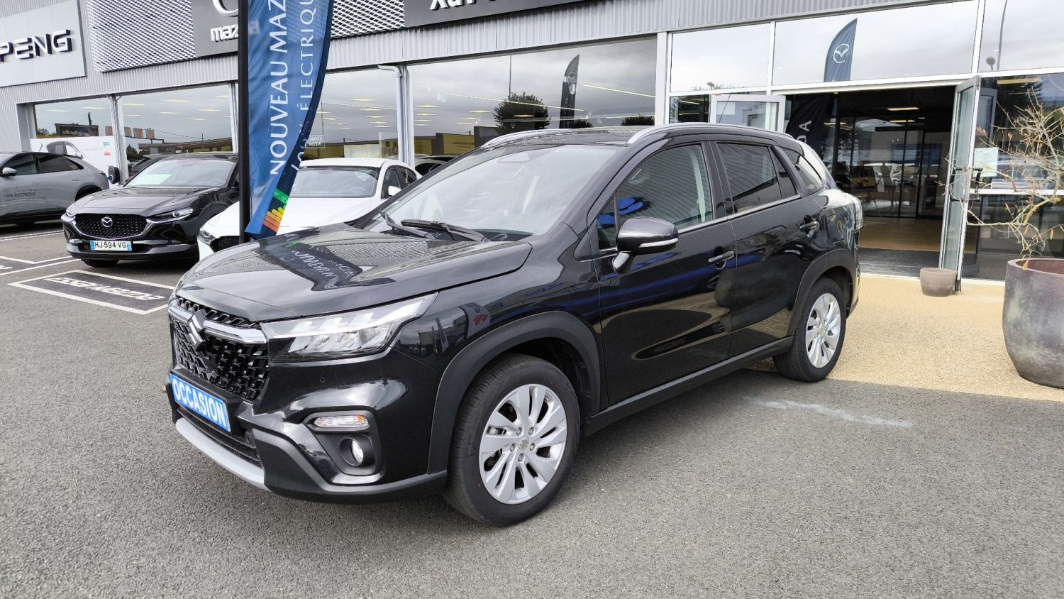 suzuki - Visuel 0