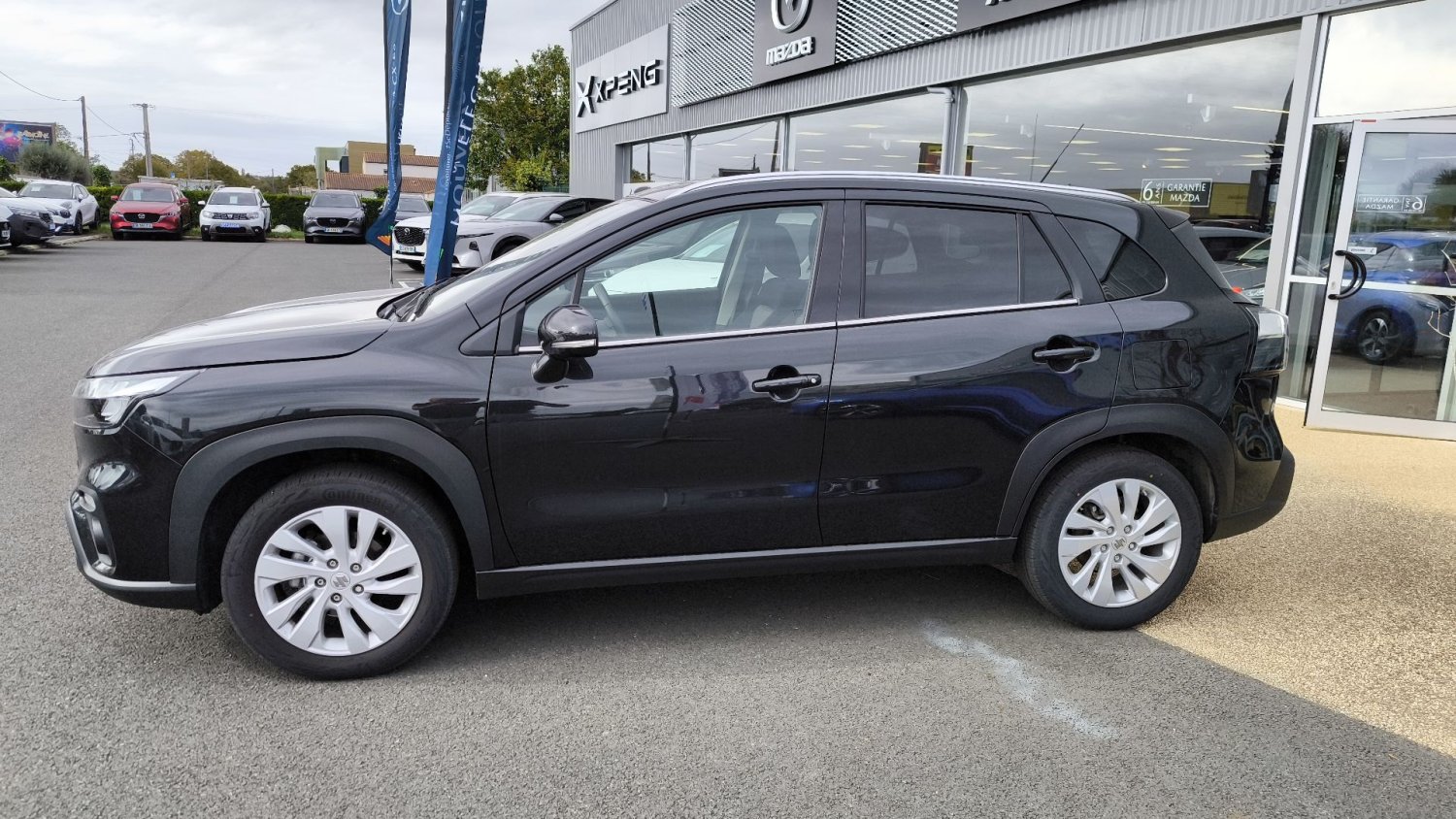 suzuki - Visuel 1