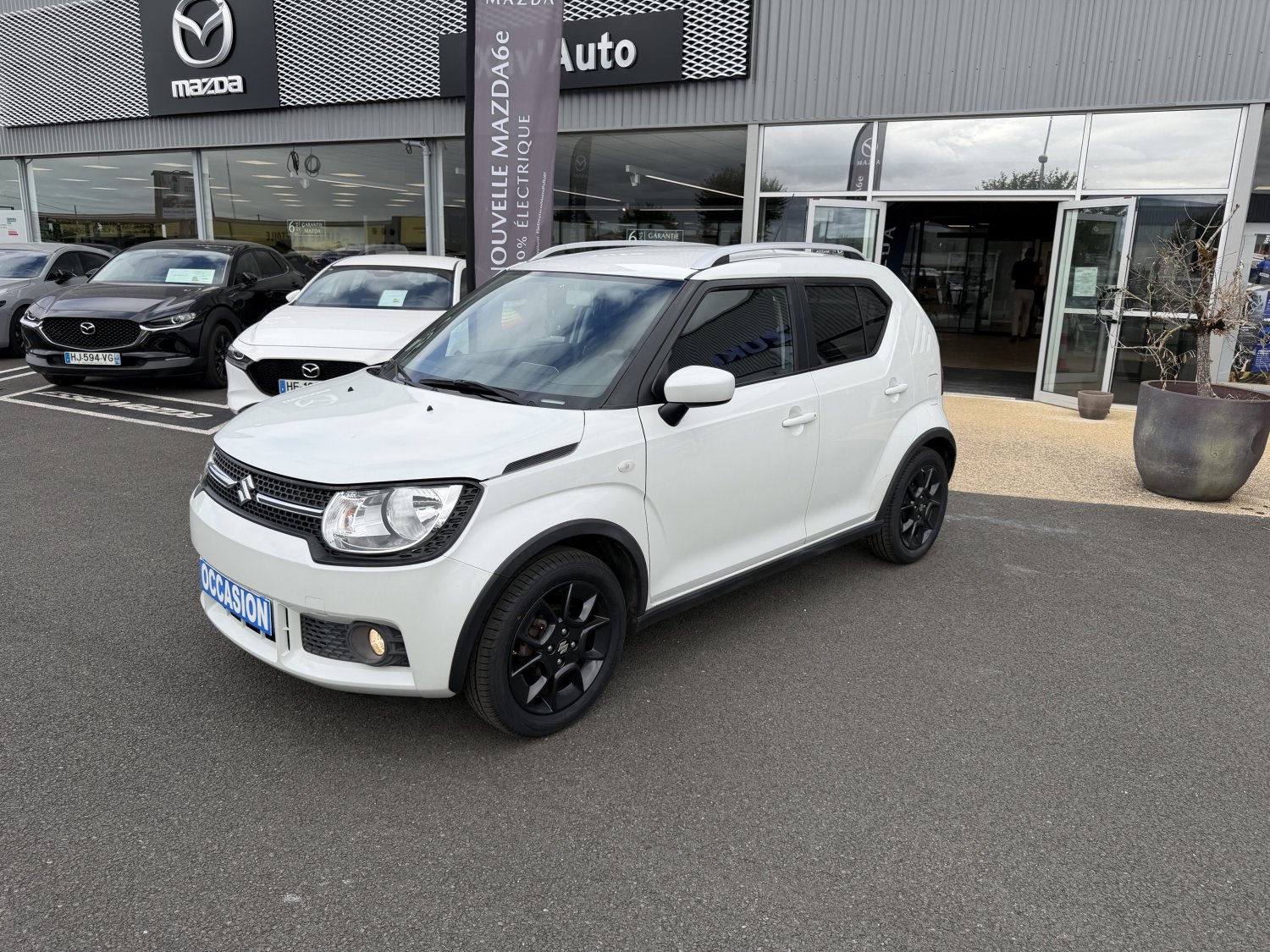 suzuki - Visuel 0