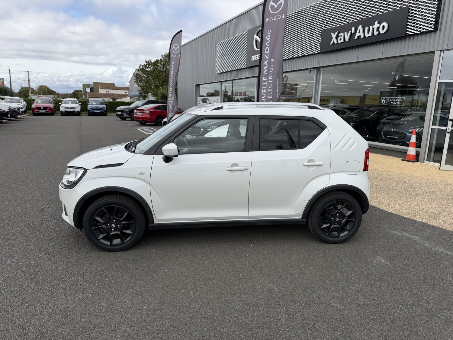 suzuki - Visuel 1