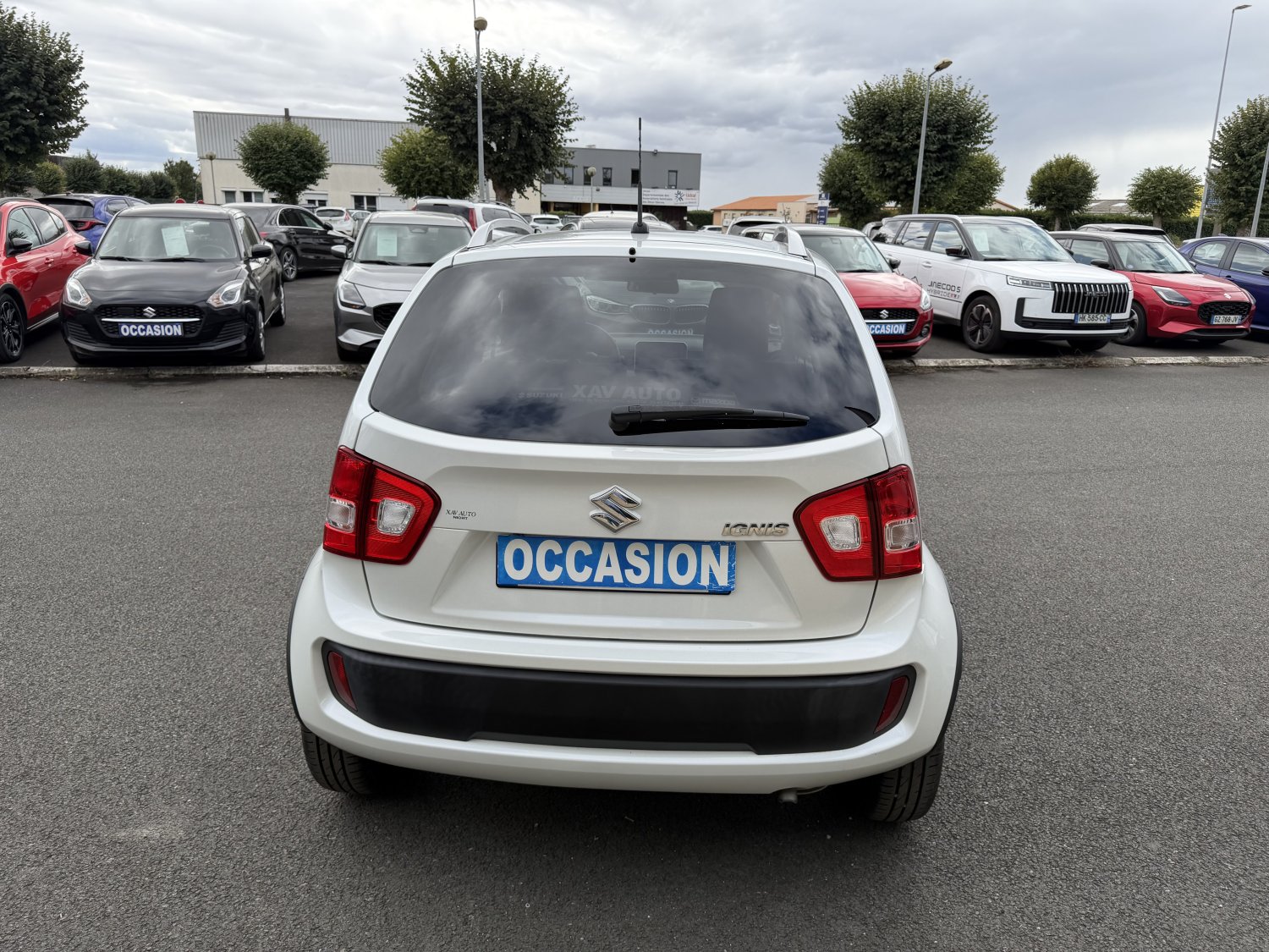 suzuki - Visuel 3