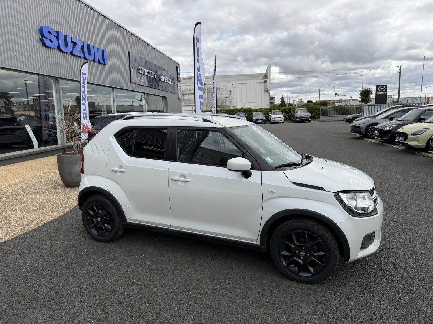 suzuki - Visuel 5