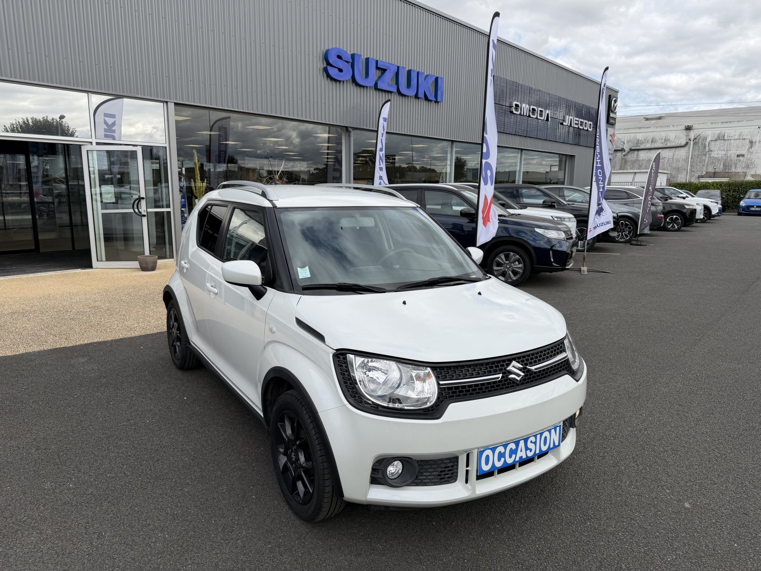 suzuki - Visuel 6