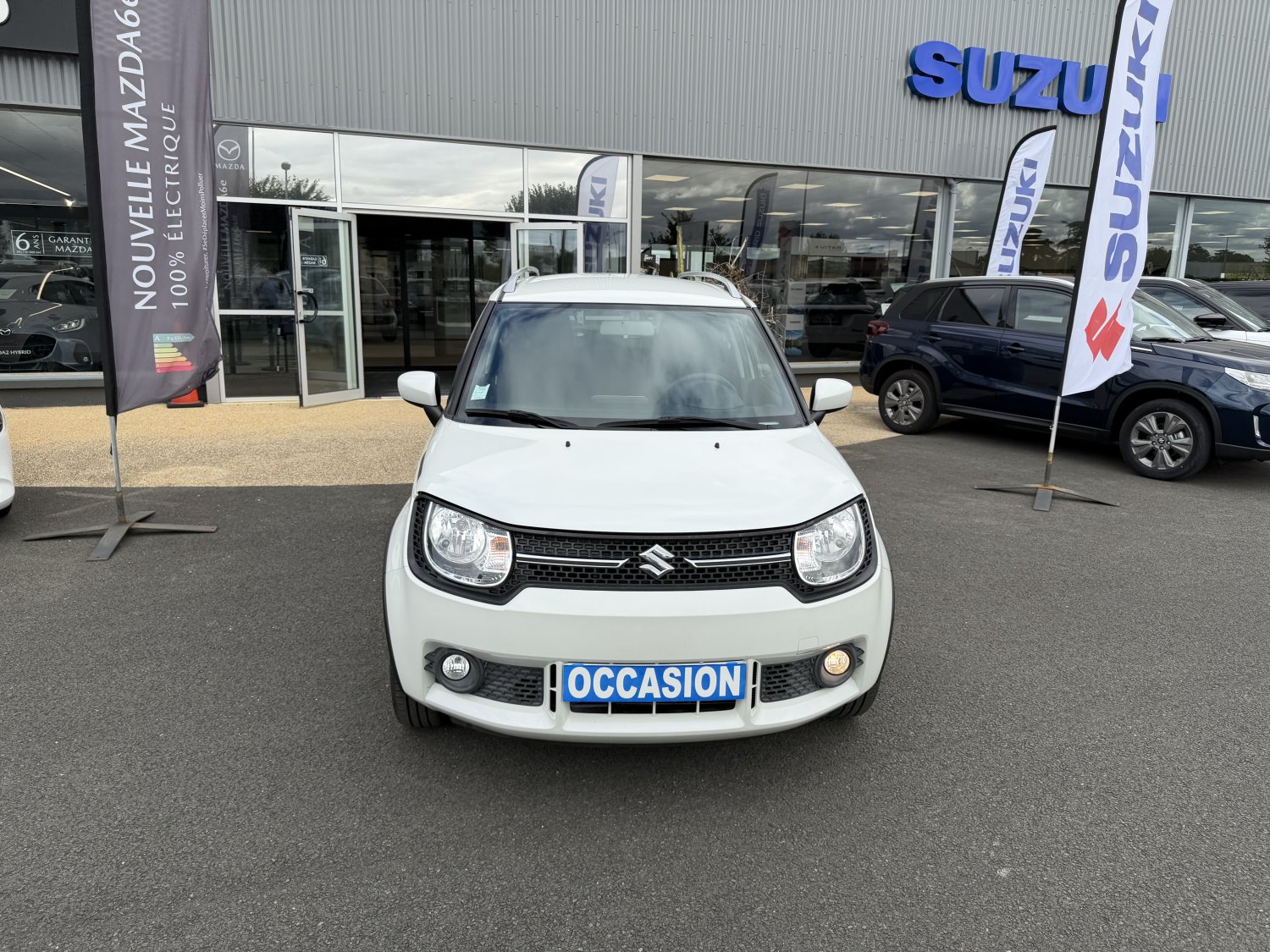 suzuki - Visuel 7