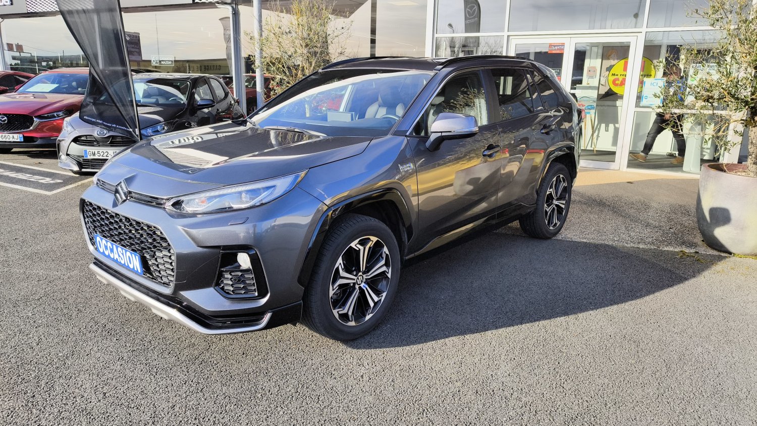 suzuki - Visuel 0