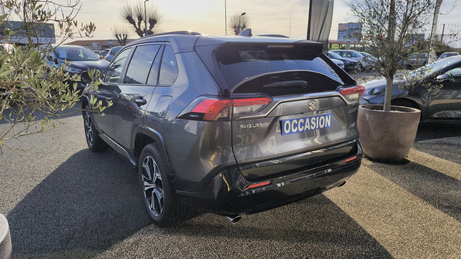 suzuki - Visuel 2