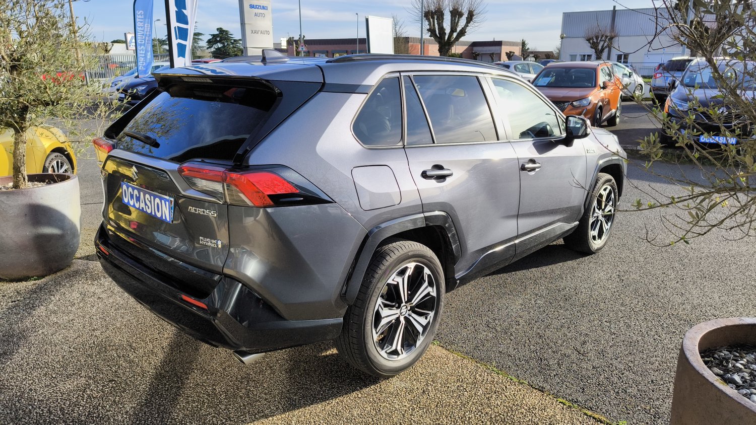 suzuki - Visuel 4