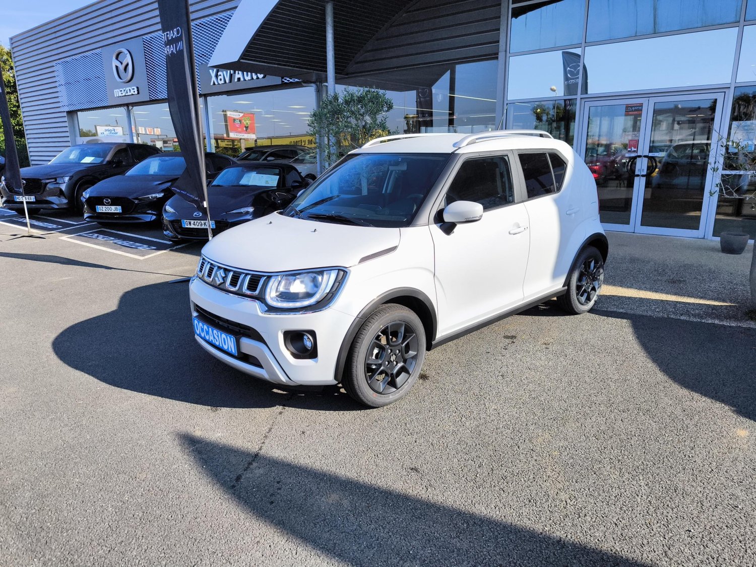 suzuki - Visuel 0