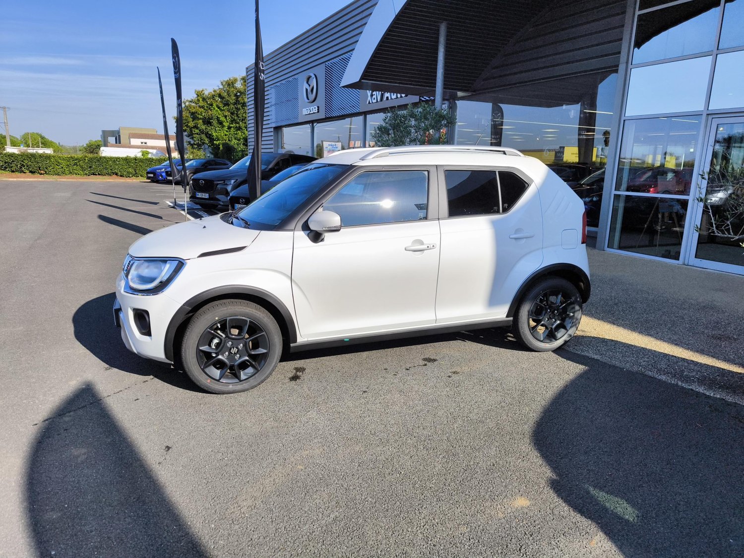 suzuki - Visuel 1
