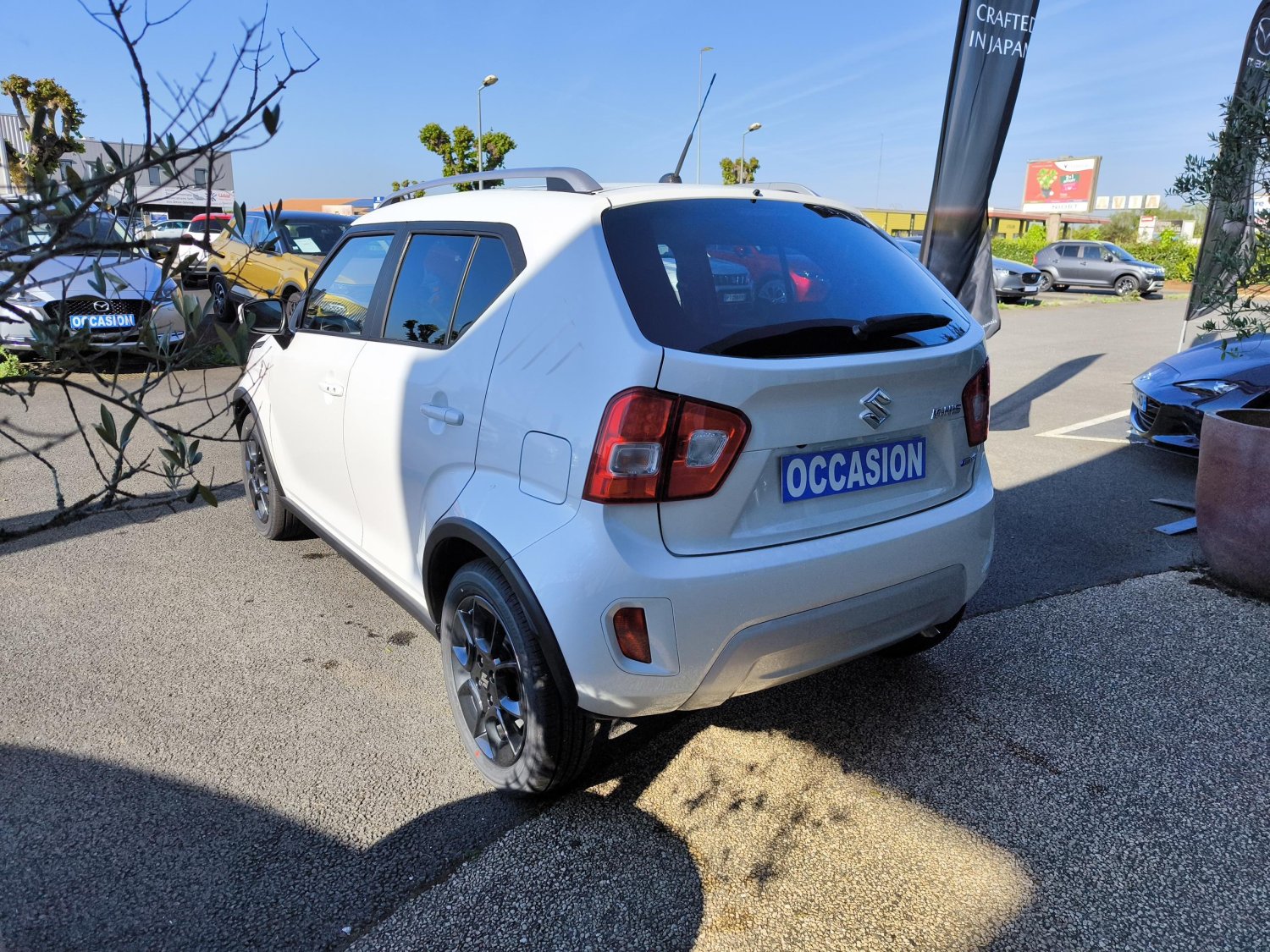 suzuki - Visuel 2