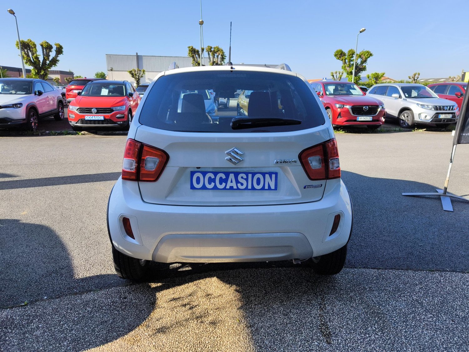suzuki - Visuel 3