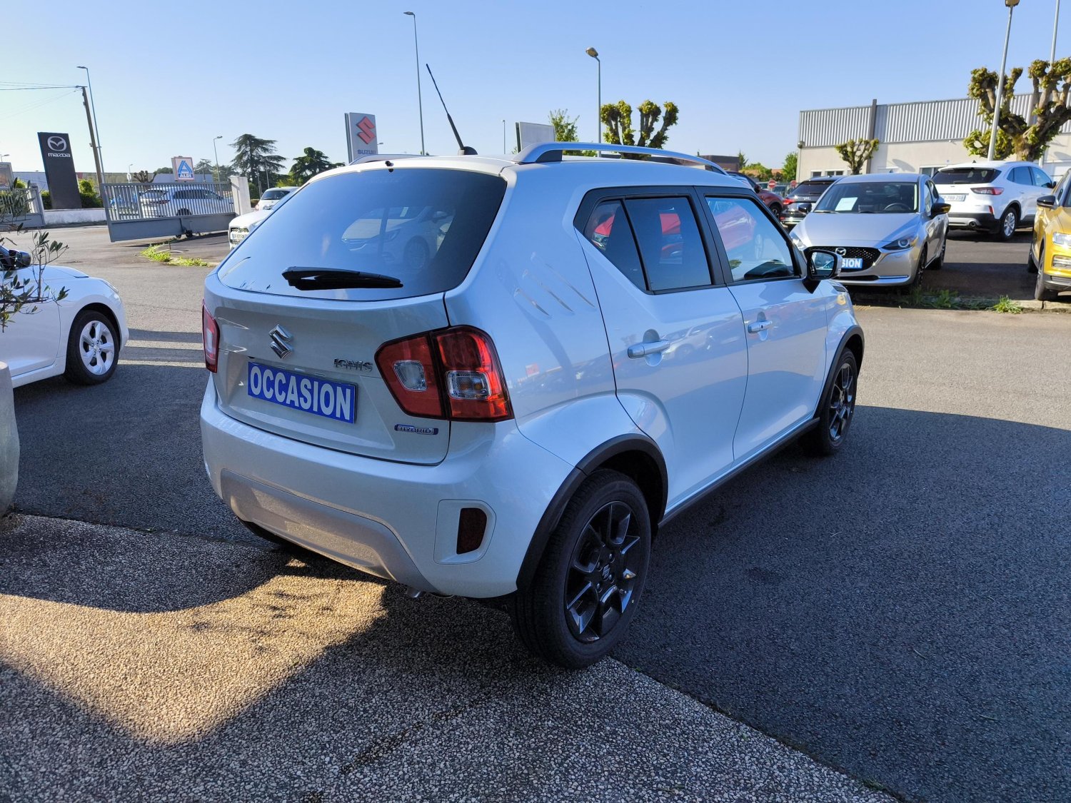 suzuki - Visuel 4