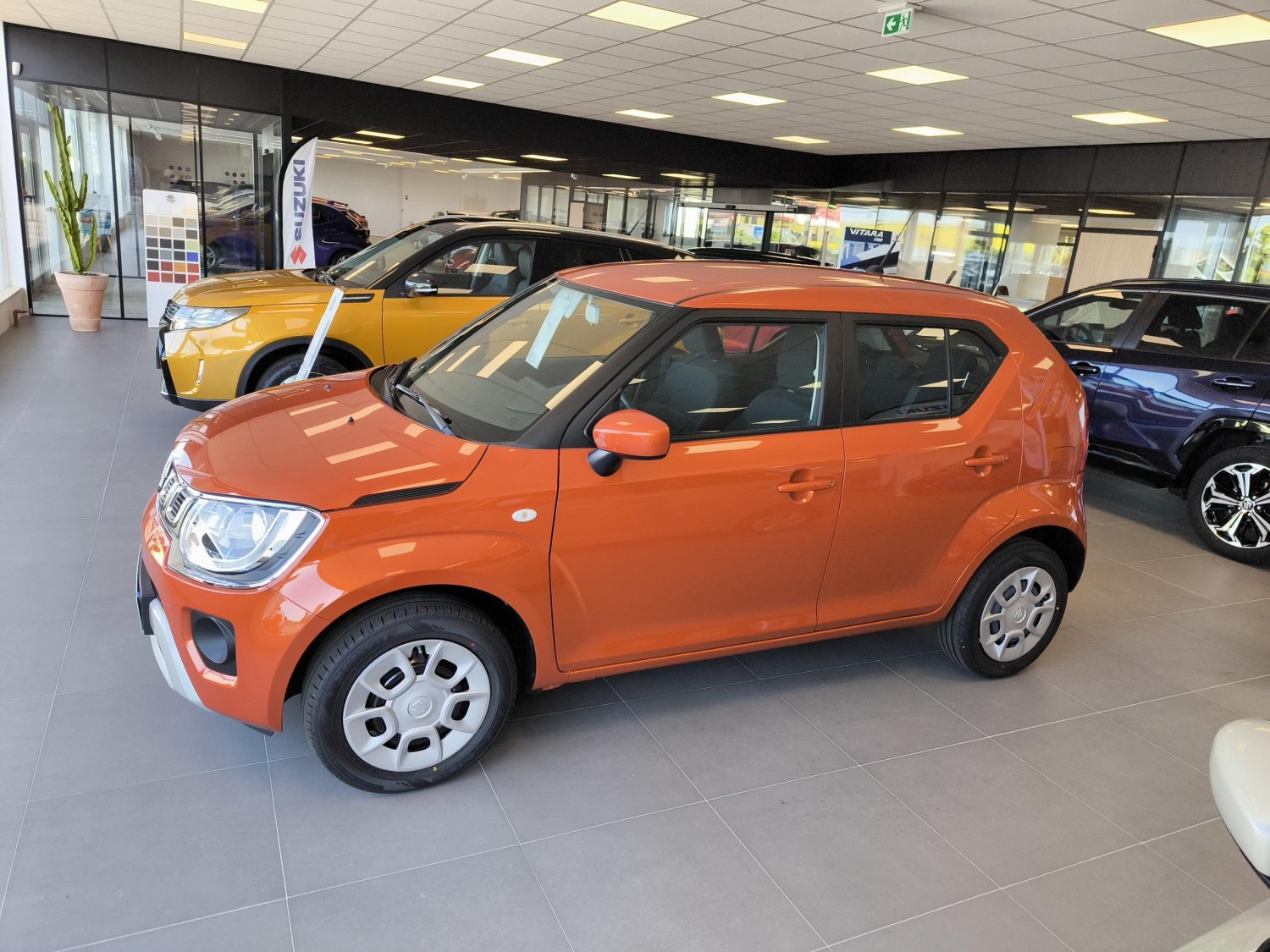 suzuki - Visuel 1