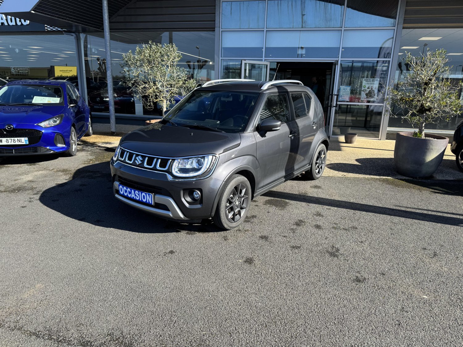 suzuki - Visuel 0