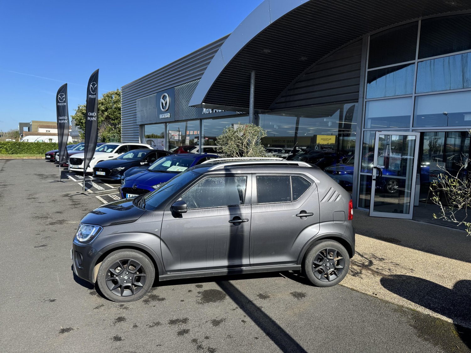 suzuki - Visuel 1