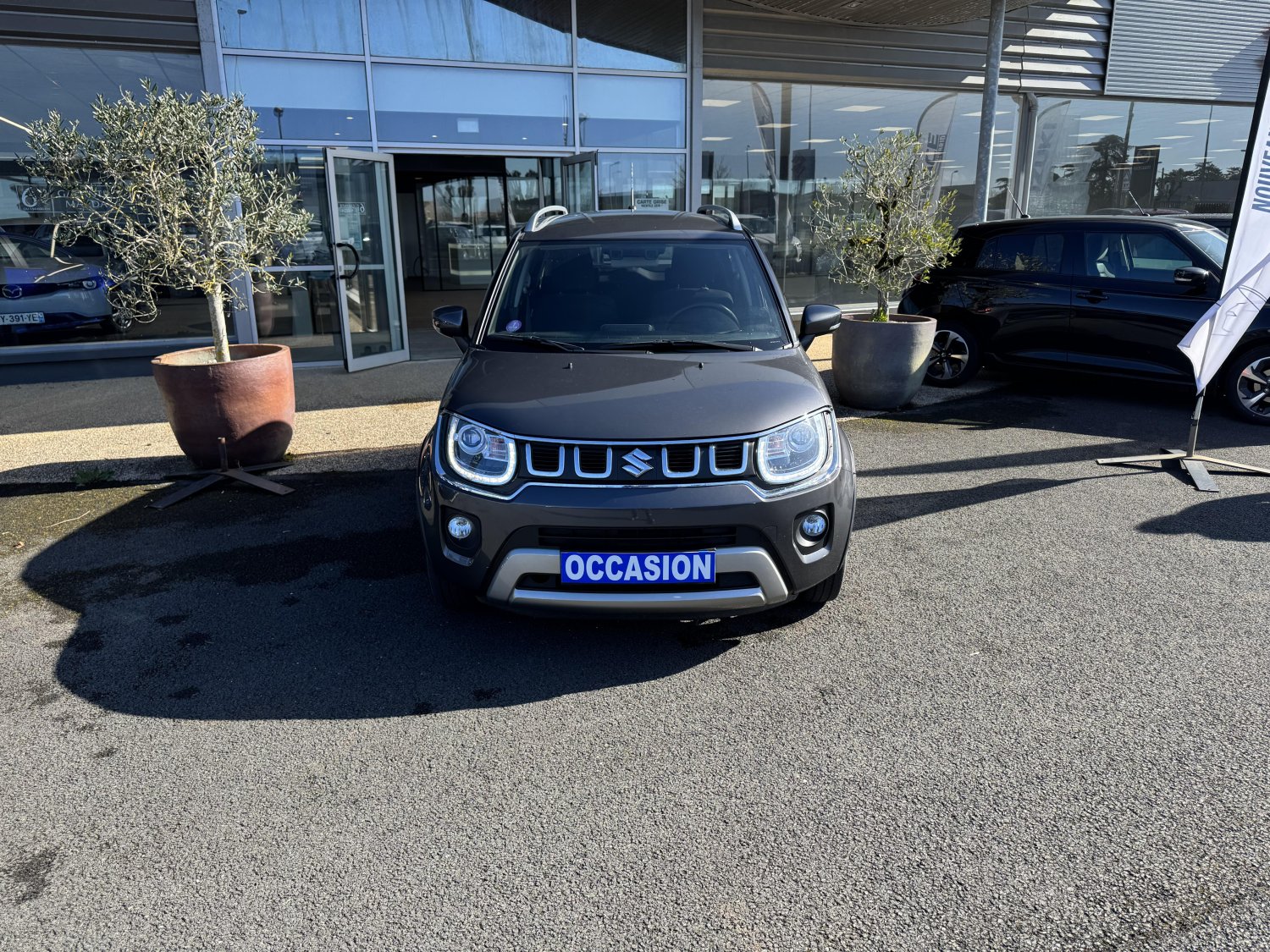 suzuki - Visuel 7