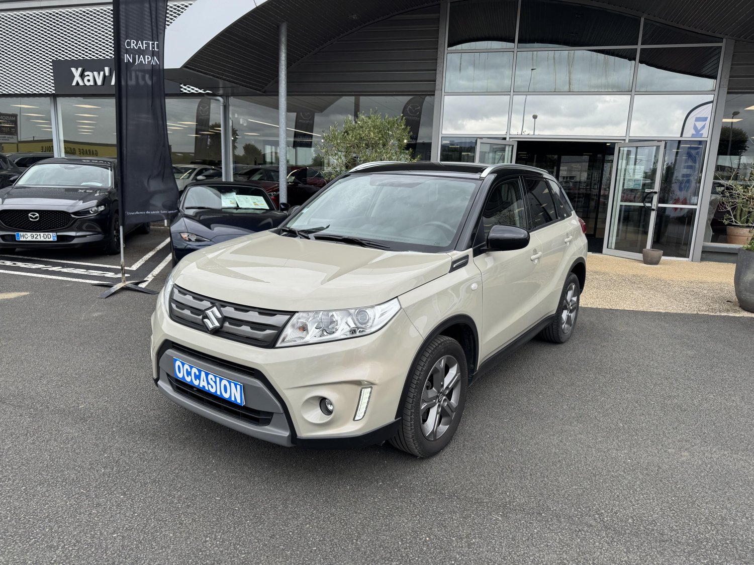 suzuki - Visuel 0