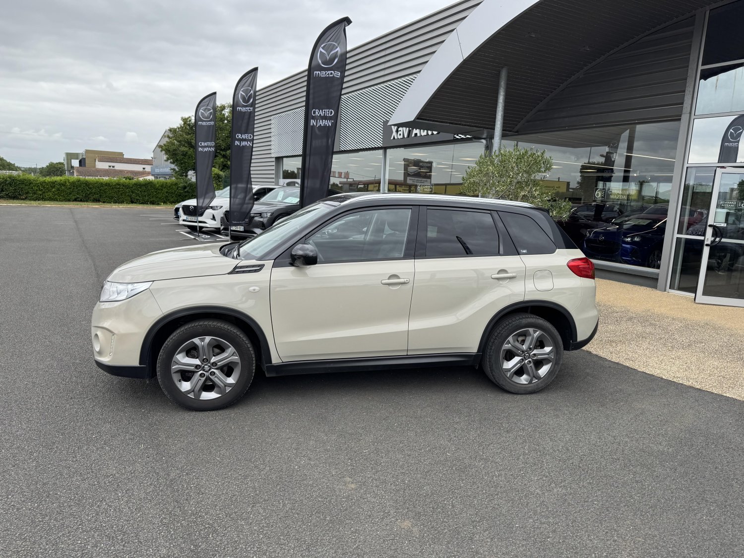 suzuki - Visuel 1