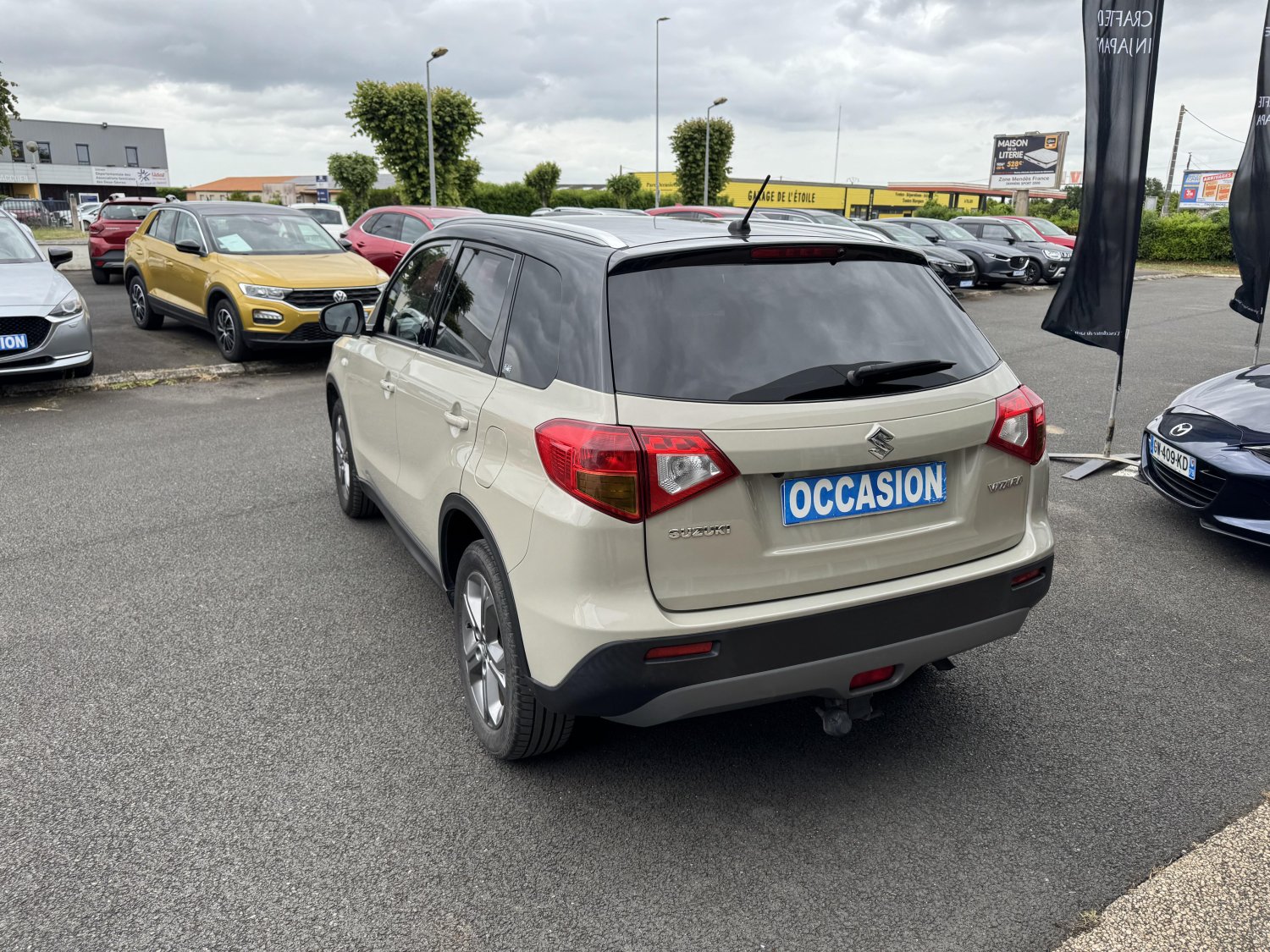 suzuki - Visuel 2