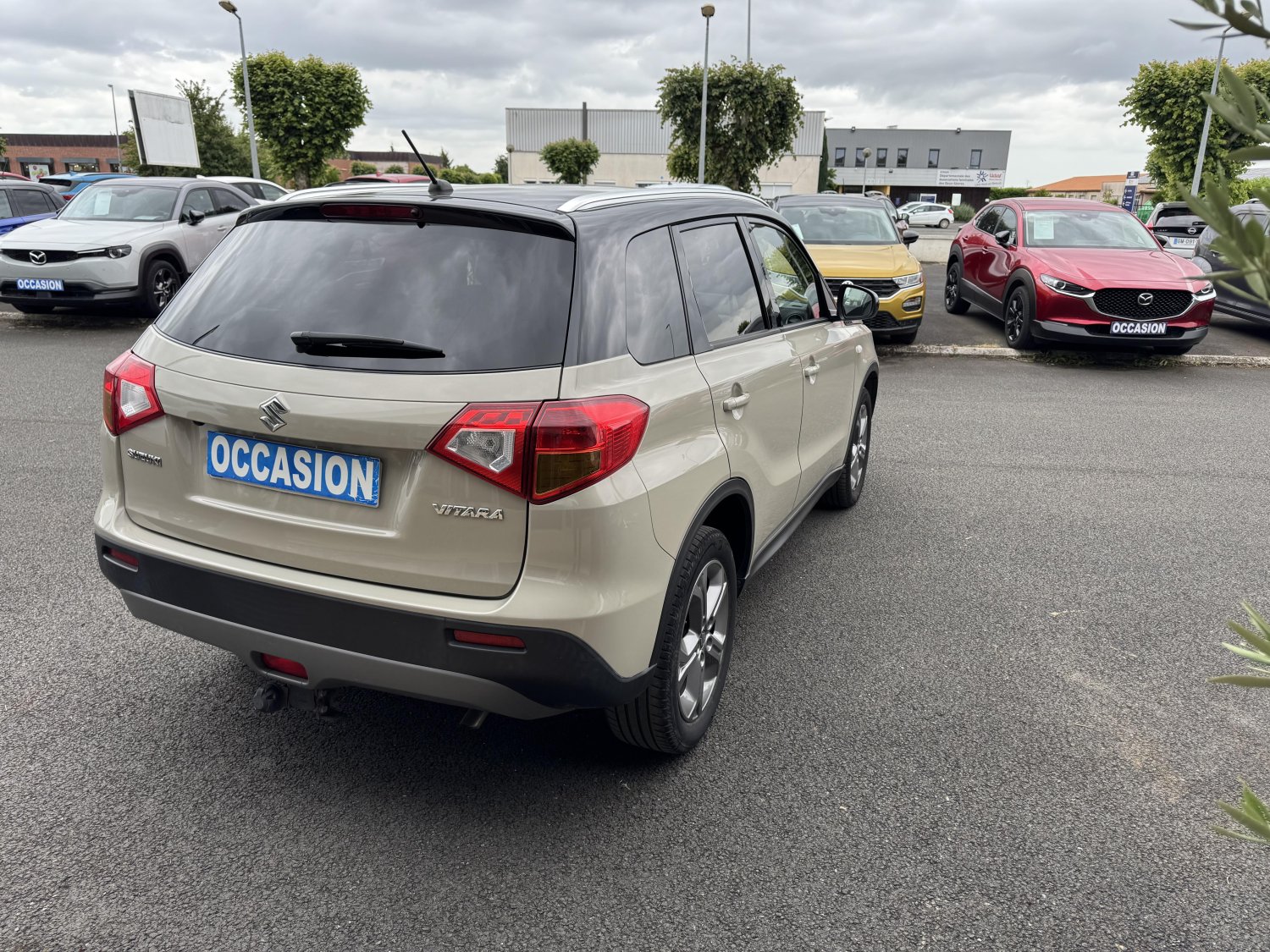 suzuki - Visuel 4