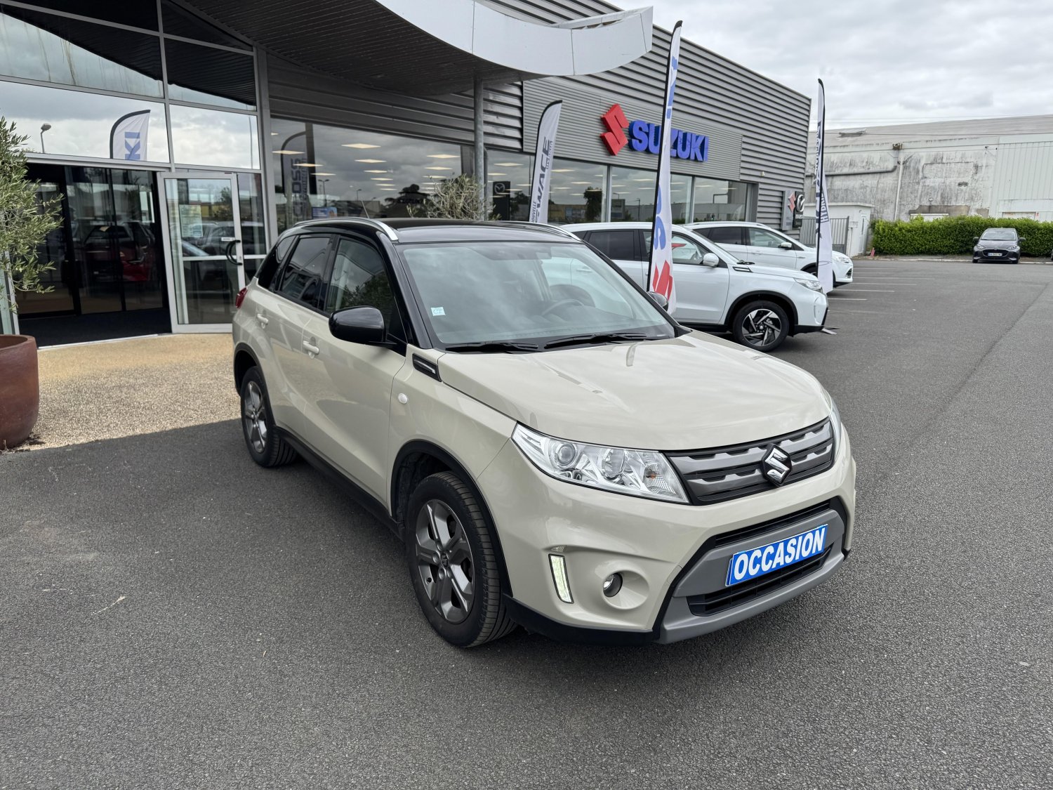 suzuki - Visuel 6