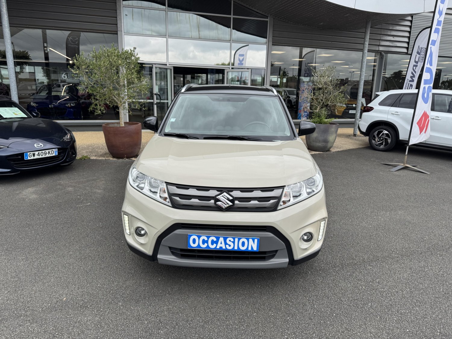 suzuki - Visuel 7