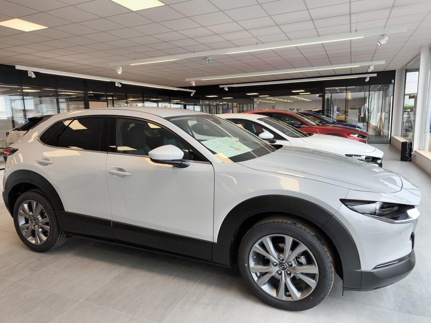 mazda - Visuel 4