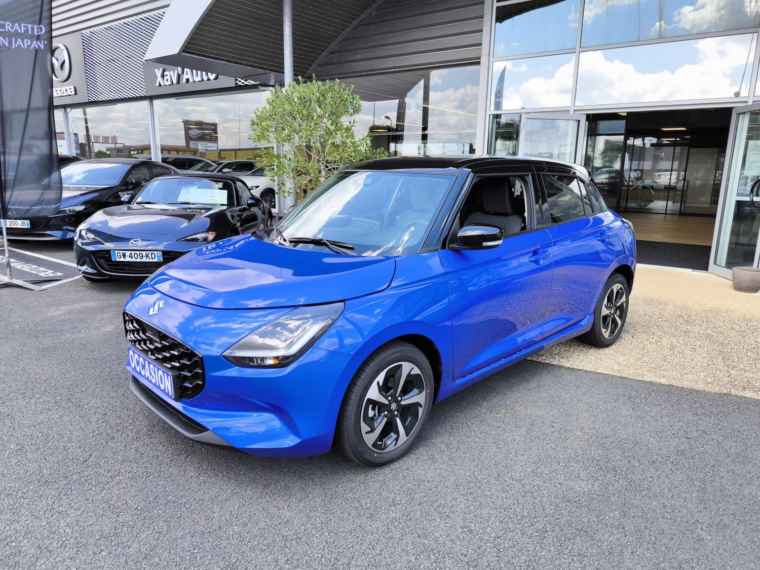 suzuki - Visuel 0
