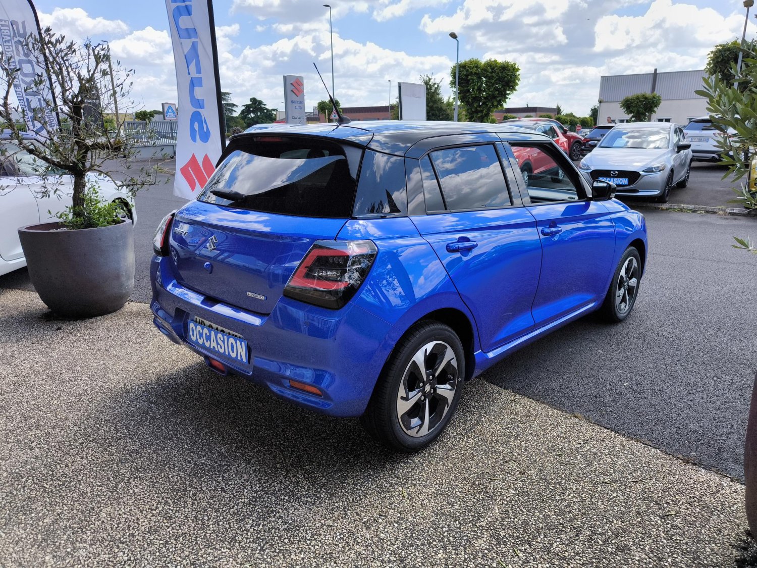 suzuki - Visuel 4