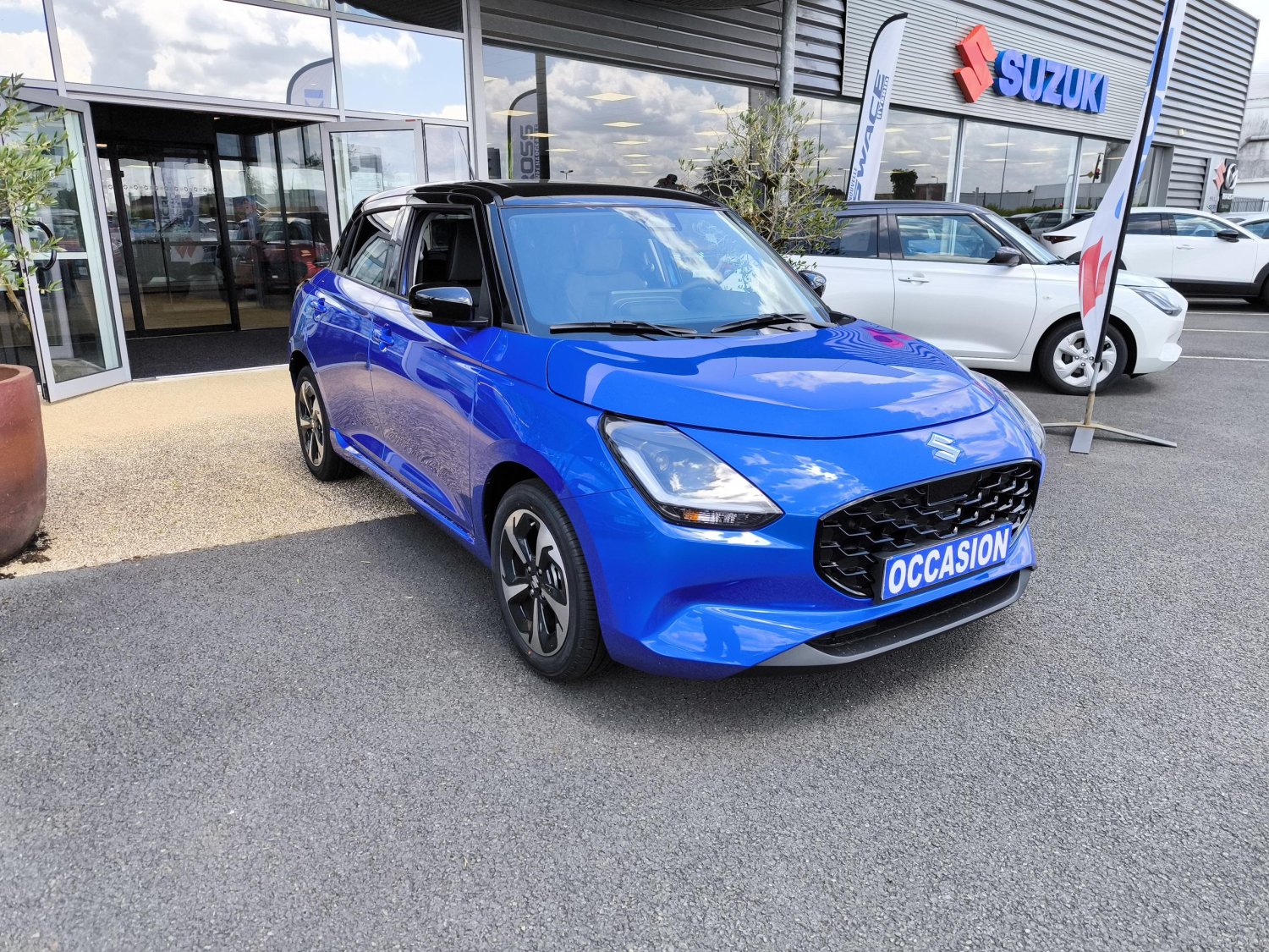 suzuki - Visuel 6