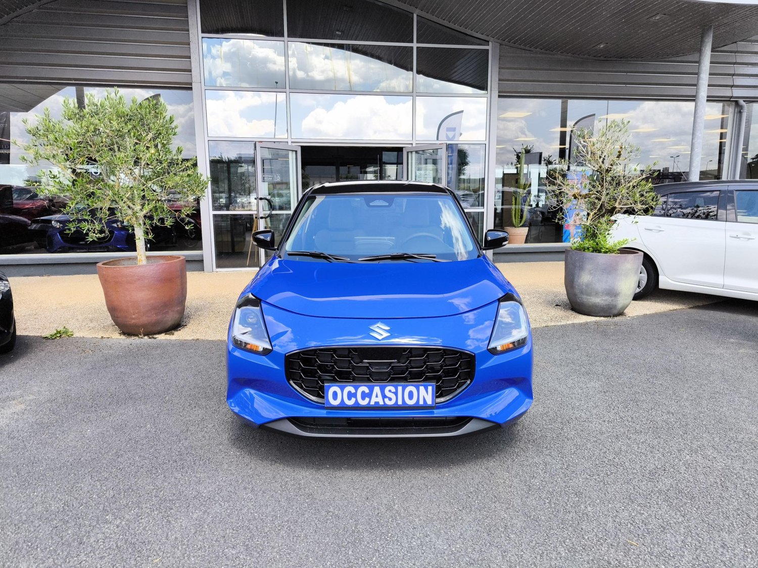 suzuki - Visuel 7